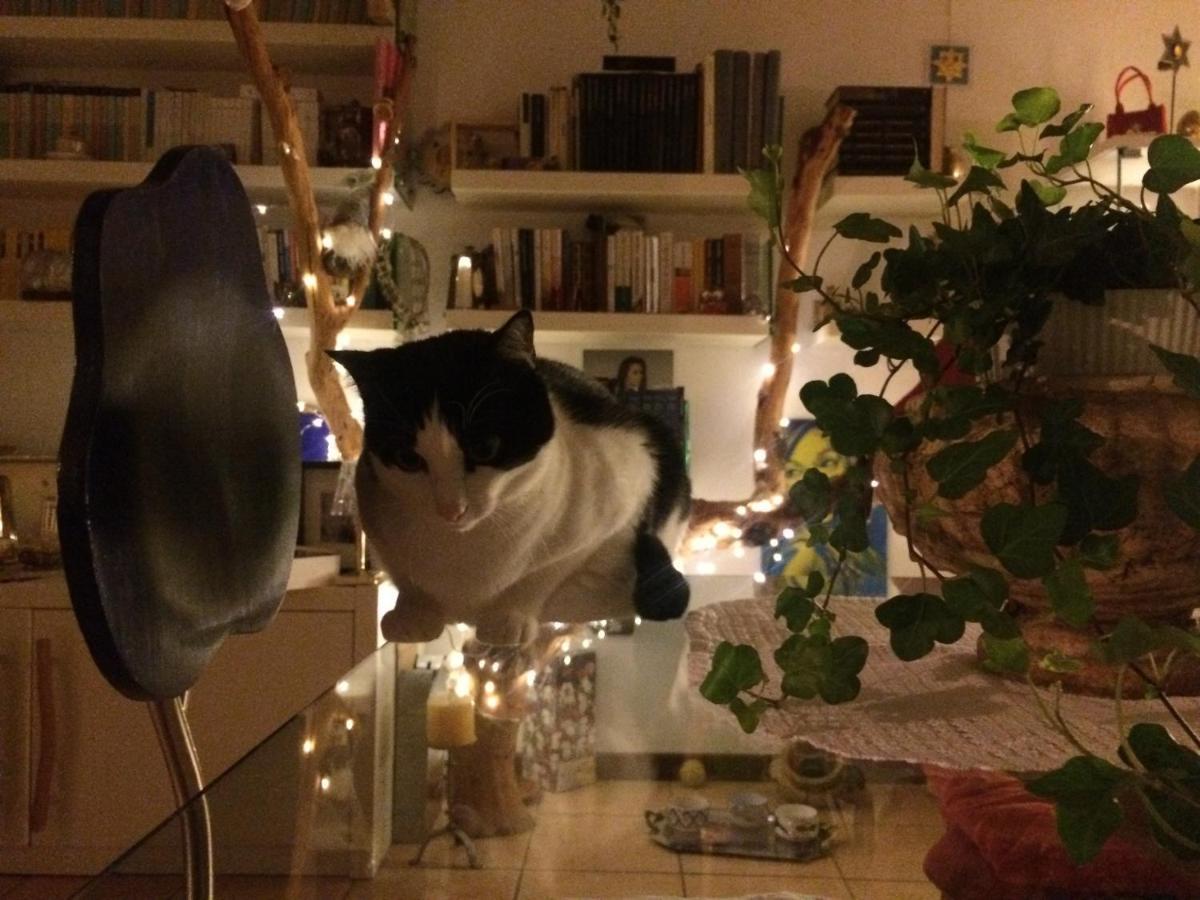 Casa de hóspedes Da Coco E Mini,l'angolo Per Ceramiste In Viaggio - *